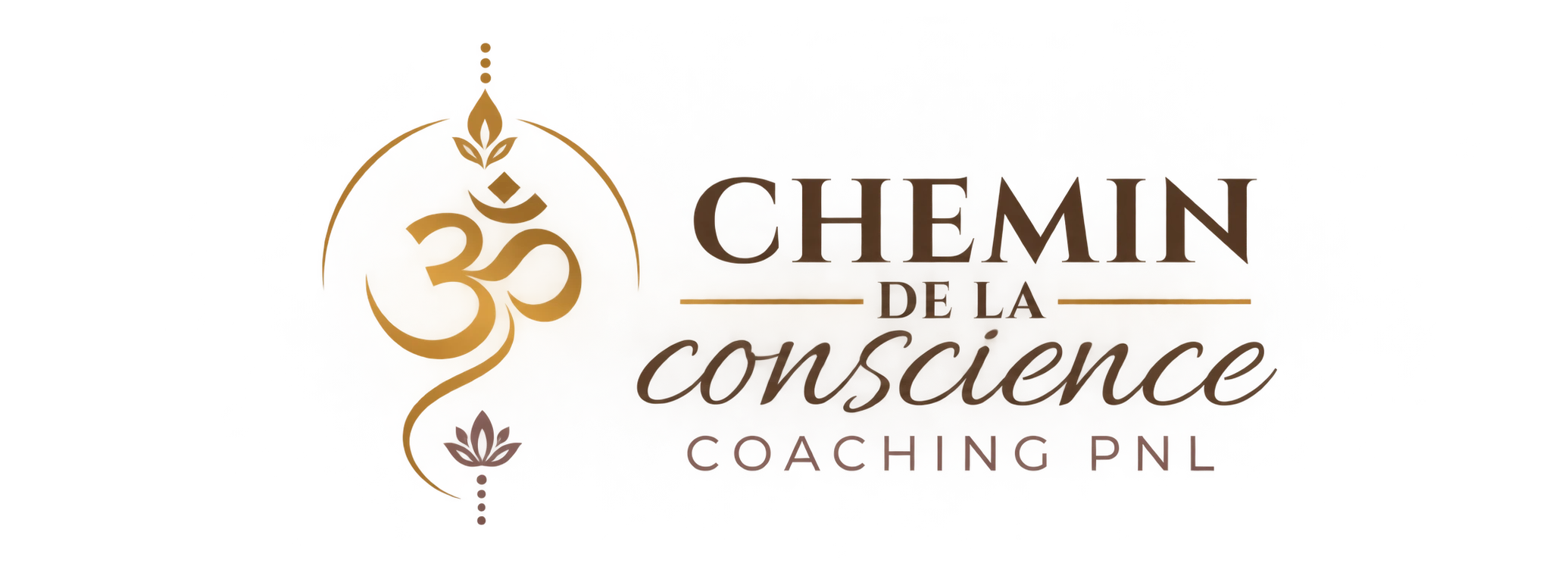 Chemin de la conscience